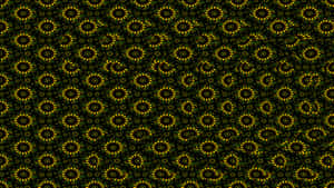 Image Life Through A Magical Lens Wallpaper