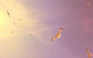 Image Luxurious Christian Macbook Wallpaper