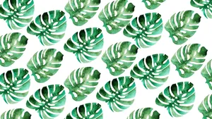 Image Refresh Your Desktop With A Cute Summer-themed Wallpaper Wallpaper