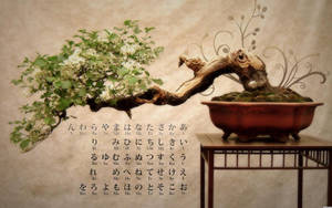 Image Traditional Japanese Bonsai Art Wallpaper