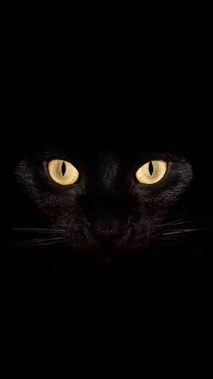 Immerse Yourself In The Spooky Atmosphere Of Halloween With This Scary Iphone Wallpaper Wallpaper
