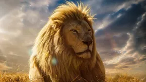 In Sunlight Lion Desktop Wallpaper