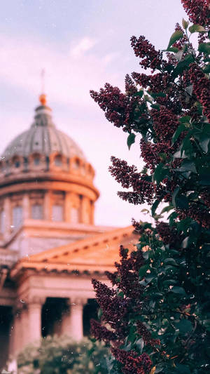 Indian Temple And Berry Trees Wallpaper