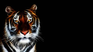 Indian Tiger Face Art Wallpaper