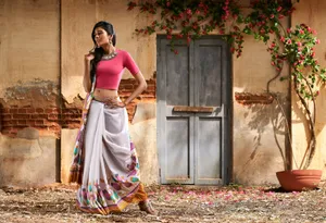 Indian Woman Priyanka Kochhar In Sari Dress Wallpaper