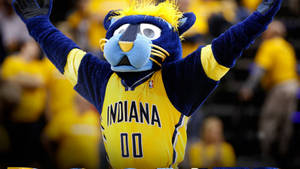 Indiana Pacers Mascot Boomer Wallpaper