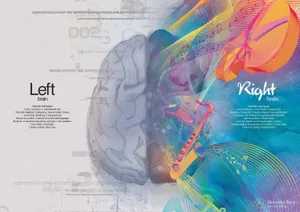Informative Medical Brain Parts Chart Wallpaper