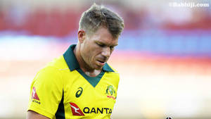 Intense Focus - David Warner On The Field Wallpaper