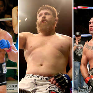 Intense Moment With Roy Nelson At Octagon Barrier Wallpaper