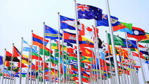 International Union Of Flags Wallpaper