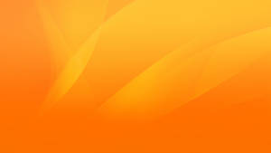 Intertwined Rays Of Orange Vibrance Wallpaper