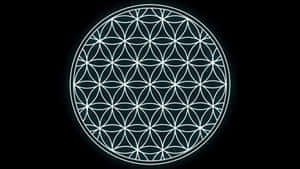 Intricate Sacred Geometry Patterns Wallpaper