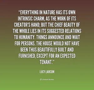 Intrinsic Charm Of Nature Wallpaper