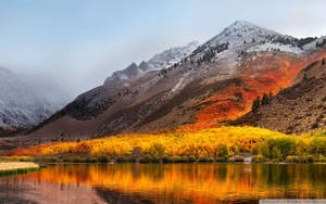 Inyo National Forest Wallpaper