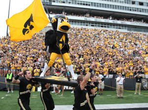 Iowa Hawkeyes Flag Wallpaper