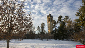 Iowa State University Campanile In Winter Wallpaper