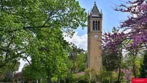 Iowa State University The Campanile Wallpaper