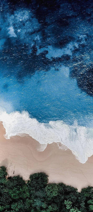 Iphone 11 Soaring Above The Seashore Wallpaper