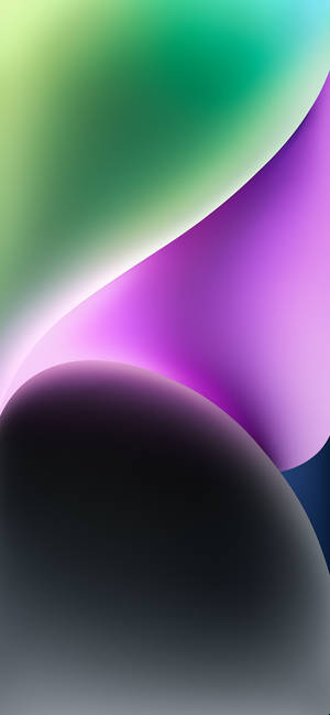 Iphone 14 Black Oval Wallpaper