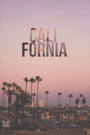 Iphone California Neigborhood Palm Trees Wallpaper