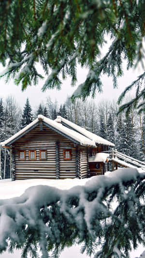 Iphone Christmas Snow Home Forest Wallpaper