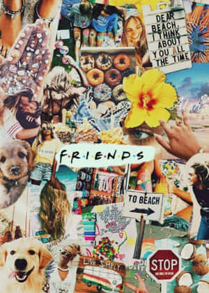 Iphone Collage Of Flowers And Signage Wallpaper