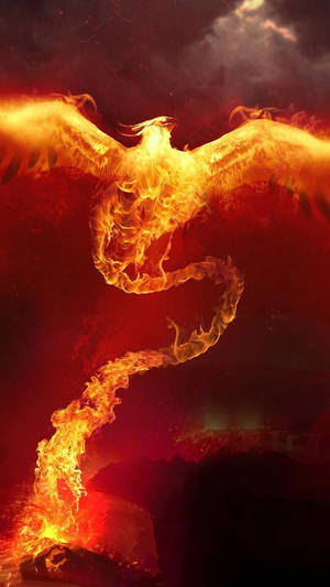 Iphone Rise Of The Phoenix Fire Wallpaper