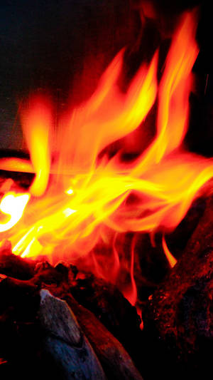 Iphone Wood Fire Motion Wallpaper