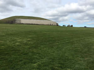 Ireland Stone Tomb Newgrange Side View Wallpaper