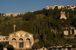 Israel Mount Of Olives Wallpaper