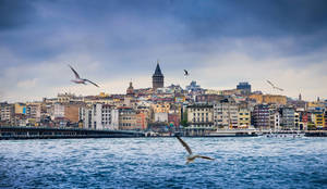 Istanbul Colorful Structures Wallpaper