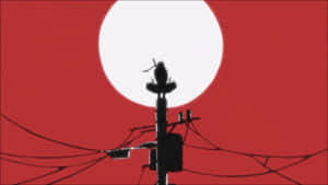 Itachi Live White Round Shape Wallpaper