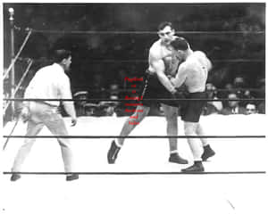 Italian Professional Boxer Primo Carnera Against Jim Maloney Wallpaper