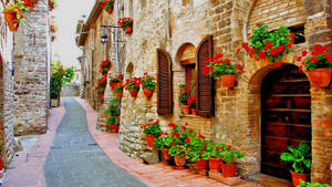 Italy Flower Walkway Wallpaper