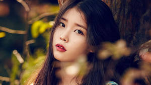 Iu Modeling On The Wood Wallpaper