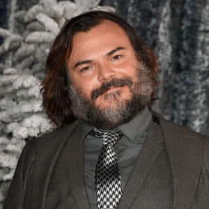 Jack Black, Live On Stage Wallpaper