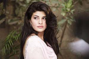 Jacqueline Fernandez Movie Actress Wallpaper