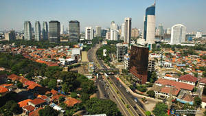 Jakarta City Trees Wallpaper