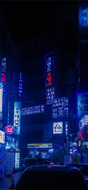 Japanese Aesthetic Iphone Different Neon Signs Wallpaper