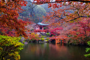 Japanese Culture Desktop Wallpaper Wallpaper