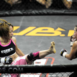 Japanese Mixed Martial Artist Megumi Fujii In Action Wallpaper