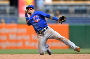 Javier Baez Baseball Shortstop Wallpaper