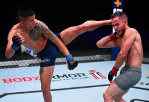 Jeff Molina Versus Jacob Silva Wallpaper