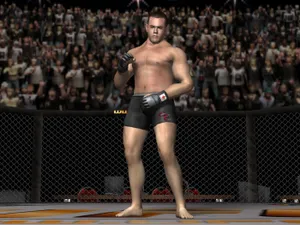 Jeremy Horn Mma 3d Game Simulation Wallpaper
