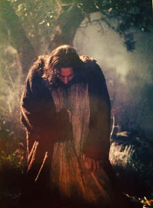 Jesus In The Woods With A Robe Wallpaper