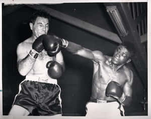 Joey Maxim Bruised Wallpaper