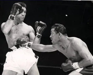 Joey Maxim Takes A Punch Wallpaper