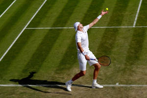 John Isner Ball Toss Wallpaper