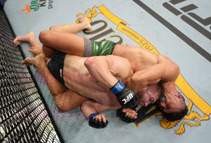 Johnny Walker Rear Naked Choke Wallpaper