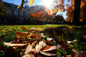 Johns Hopkins University Gilman Hall Wallpaper